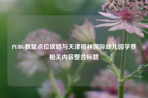 PUBG教堂点位攻略与天津格林国际幼儿园学费相关内容整合标题