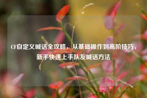 CF自定义喊话全攻略，从基础操作到高阶技巧，新手快速上手队友喊话方法