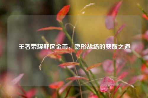 王者荣耀野区金币，隐形战场的获取之道