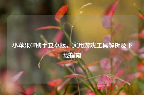 小苹果CF助手安卓版，实用游戏工具解析及下载指南