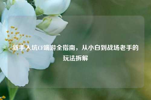 新手入坑CF端游全指南，从小白到战场老手的玩法拆解