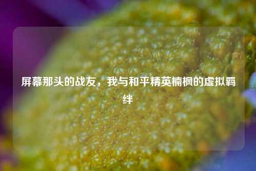 屏幕那头的战友，我与和平精英楠枫的虚拟羁绊