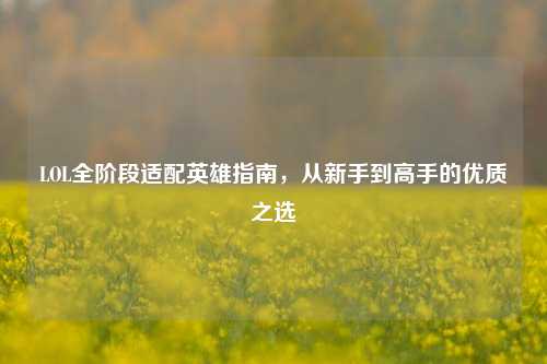 LOL全阶段适配英雄指南，从新手到高手的优质之选