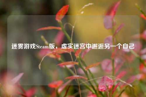 迷雾游戏Steam版，虚实迷宫中邂逅另一个自己