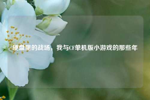 硬盘里的战场，我与CF单机版小游戏的那些年