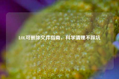 LOL可删除文件指南，科学清理不踩坑