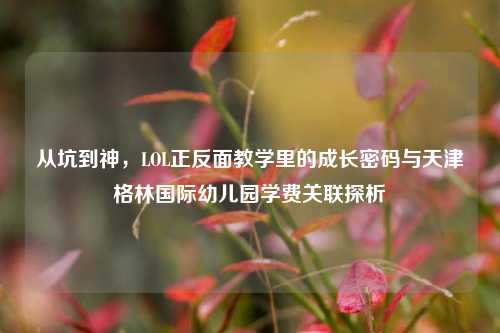 从坑到神，LOL正反面教学里的成长密码与天津格林国际幼儿园学费关联探析
