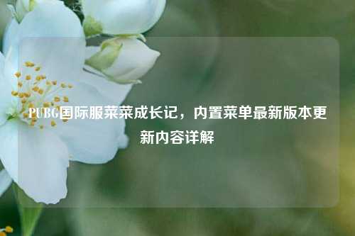 PUBG国际服菜菜成长记，内置菜单最新版本更新内容详解