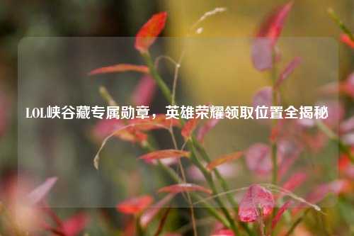 LOL峡谷藏专属勋章，英雄荣耀领取位置全揭秘