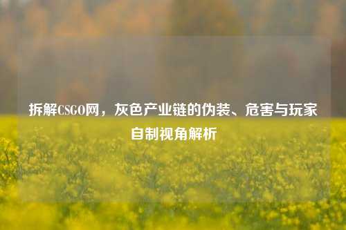 拆解CSGO网，灰色产业链的伪装、危害与玩家自制视角解析