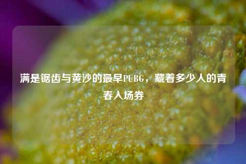 满是锯齿与黄沙的最早PUBG，藏着多少人的青春入场券