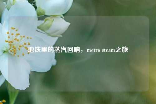 地铁里的蒸汽回响，metro steam之旅