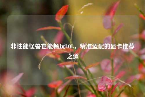 非性能怪兽也能畅玩LOL，精准适配的显卡推荐之道