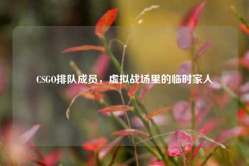 CSGO排队成员，虚拟战场里的临时家人