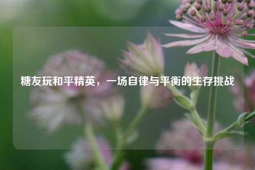糖友玩和平精英，一场自律与平衡的生存挑战