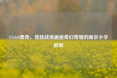 CS:GO奥奇，竞技战场邂逅奇幻奇境的南京小学教师