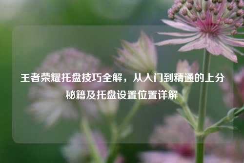 王者荣耀托盘技巧全解，从入门到精通的上分秘籍及托盘设置位置详解