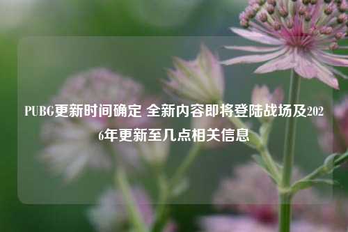 PUBG更新时间确定 全新内容即将登陆战场及2026年更新至几点相关信息