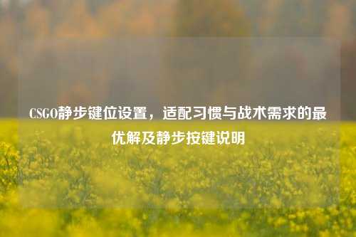 CSGO静步键位设置，适配习惯与战术需求的最优解及静步按键说明