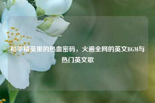 和平精英里的热血密码，火遍全网的英文BGM与热门英文歌