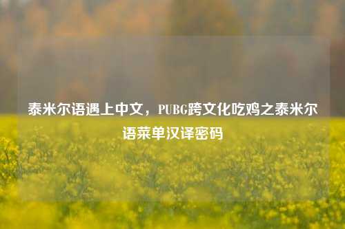 泰米尔语遇上中文，PUBG跨文化吃鸡之泰米尔语菜单汉译密码