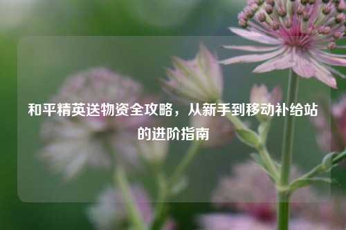 和平精英送物资全攻略，从新手到移动补给站的进阶指南