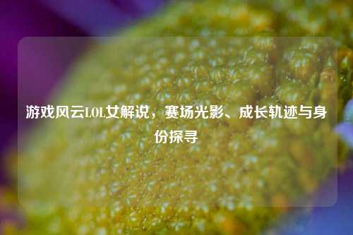 游戏风云LOL女解说，赛场光影、成长轨迹与身份探寻