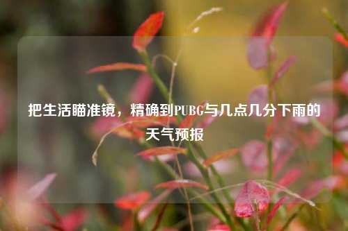 把生活瞄准镜，精确到PUBG与几点几分下雨的天气预报
