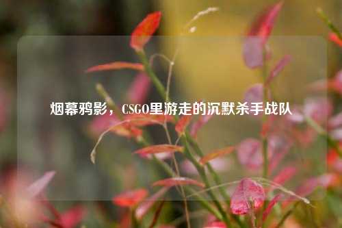 烟幕鸦影，CSGO里游走的沉默杀手战队
