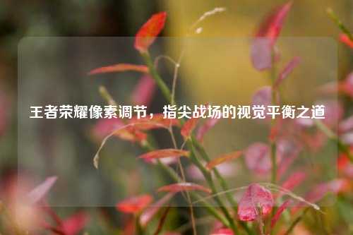 王者荣耀像素调节，指尖战场的视觉平衡之道