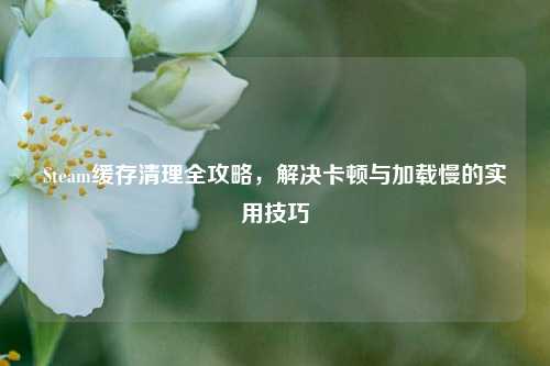 Steam缓存清理全攻略，解决卡顿与加载慢的实用技巧