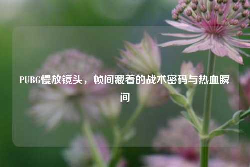 PUBG慢放镜头，帧间藏着的战术密码与热血瞬间
