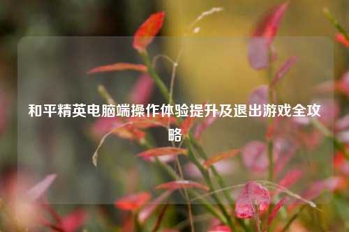 和平精英电脑端操作体验提升及退出游戏全攻略