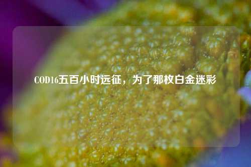 COD16五百小时远征，为了那枚白金迷彩