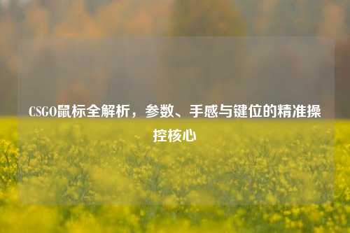 CSGO鼠标全解析，参数、手感与键位的精准操控核心