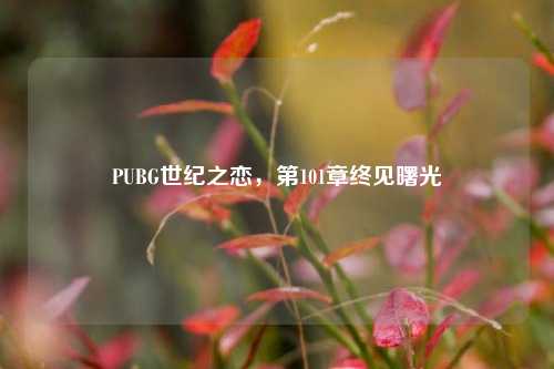 PUBG世纪之恋，第101章终见曙光