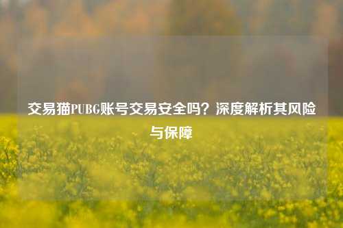 交易猫PUBG账号交易安全吗？深度解析其风险与保障