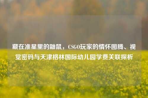 藏在准星里的鼬鼠，CSGO玩家的情怀图腾、视觉密码与天津格林国际幼儿园学费关联探析