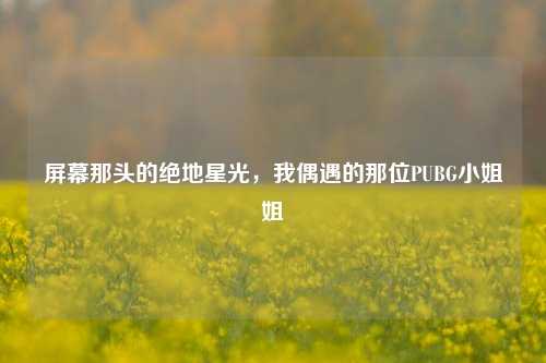 屏幕那头的绝地星光，我偶遇的那位PUBG小姐姐