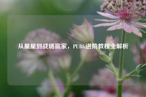 从星星到战场赢家，PUBG进阶教程全解析