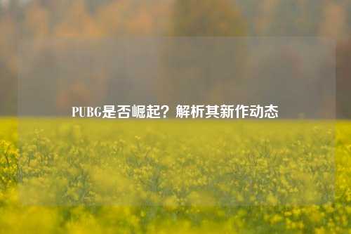 PUBG是否崛起？解析其新作动态