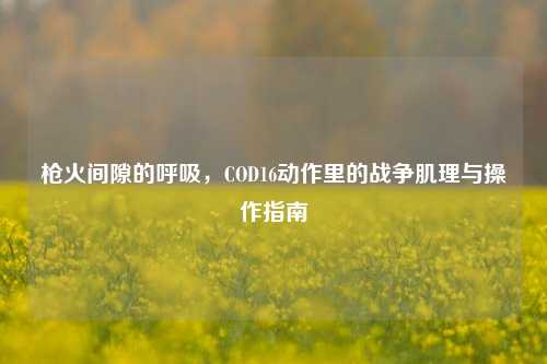 枪火间隙的呼吸，COD16动作里的战争肌理与操作指南