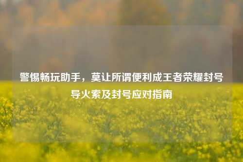 警惕畅玩助手，莫让所谓便利成王者荣耀封号导火索及封号应对指南
